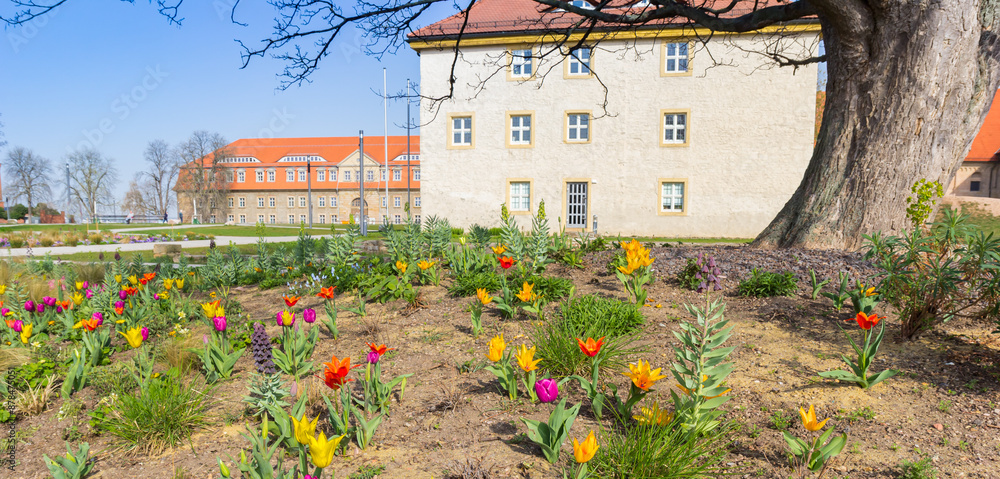 panorama of flowers in the garden of the citadel in Erfurt, Germany