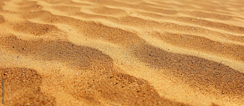 Brown sand texture providing a seamless background with fine sand, suitable for a copy space image. Brown sand texture providing a seamless background with fine sand, suitable for a copy space image.