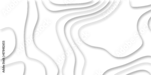 vector illustration 3d papercut wave line geometric curved white background, Topographic map of geology and contour map, papercut and multi layer cutout geometric white abstract pattern background.
