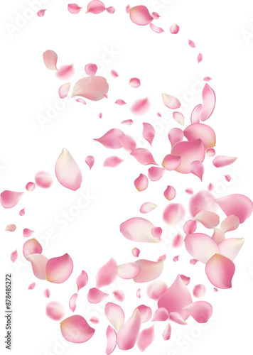 Pink rose petals fall on abstract floral background with gorgeous rose petal greeting card design,Flower flying background,cherry blossom