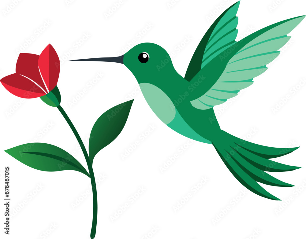 Colorful illustration of a hummingbird feeding on a red flower with white background Colorful illustration of a hummingbird feeding on a red flower with white background
