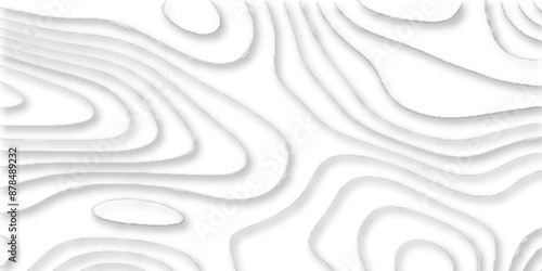 papercut and multi layer cutout geometric white abstract pattern background, vector illustration 3d papercut wave line geometric curved white background, Topographic map of geology and contour map.