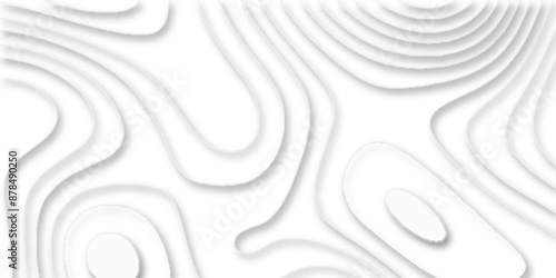 papercut and multi layer cutout geometric white abstract pattern background, vector illustration 3d papercut wave line geometric curved white background, Topographic map of geology and contour map.