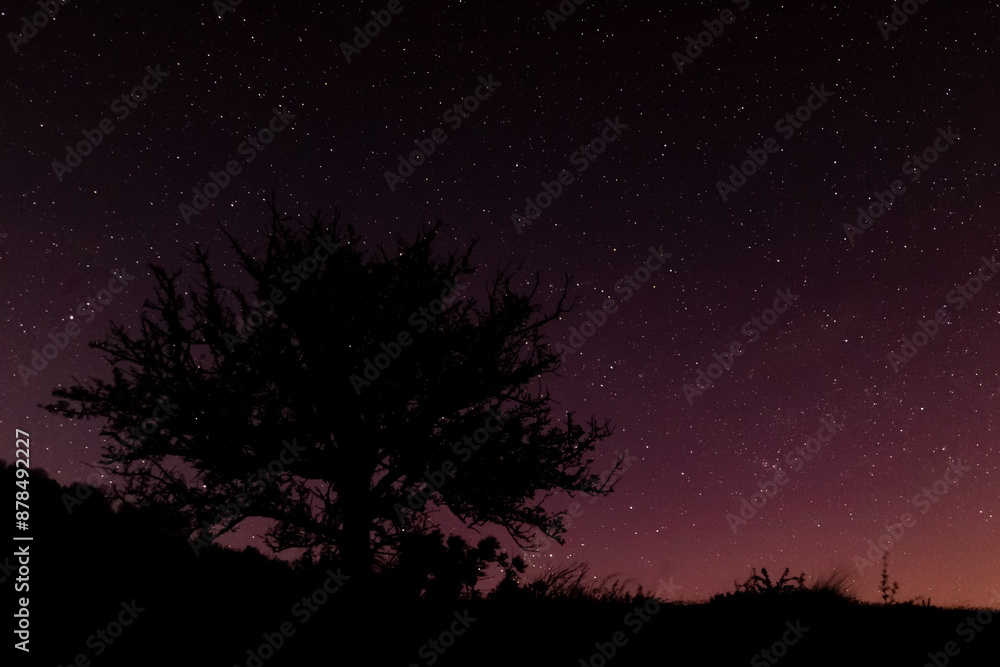 Fototapeta premium Ciel étoilé