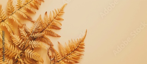 Beige background adorned with top-view yellow autumn fern leaves, creating a flatlay composition with ample copy space image.