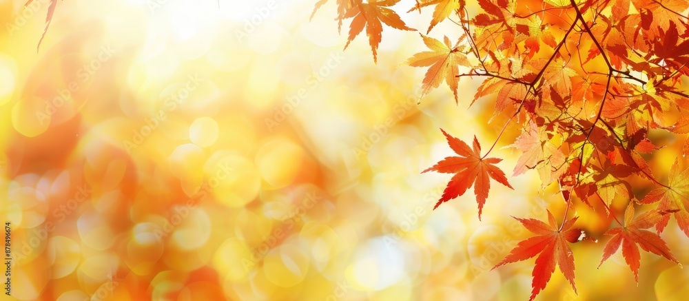 Blurry natural background with autumn maple leaves in red and yellow, perfect as a copy space image. Blurry natural background with autumn maple leaves in red and yellow, perfect as a copy space image.