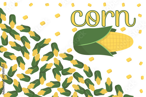 Frame corn banner. Vegetable border corn with copy space