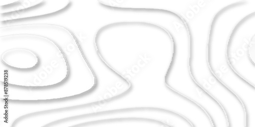 papercut and multi layer cutout geometric white abstract pattern background, vector illustration 3d papercut wave line geometric curved white background, Topographic map of geology and contour map.