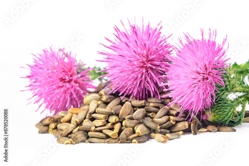 Wallpaper Mural Silybum marianum herb seeds and flowers.Seeds of a milk thistle on white background.One of the most common uses of milk thistle is to treat liver problems.Alternative medicine concept on a white woode Torontodigital.ca