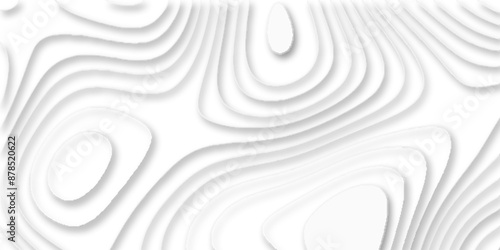 papercut and multi layer cutout geometric white abstract pattern background, vector illustration 3d papercut wave line geometric curved white background, Topographic map of geology and contour map.