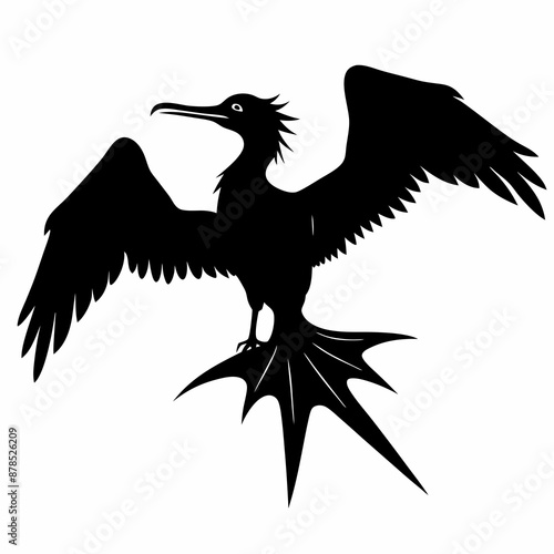 Frigatebird silhouette black