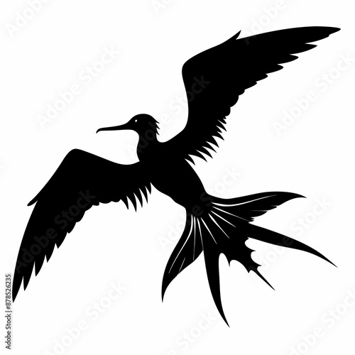 Frigatebird silhouette black