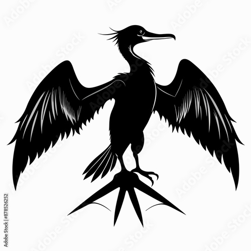 Frigatebird silhouette black