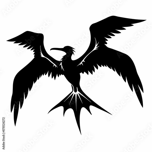Frigatebird silhouette black