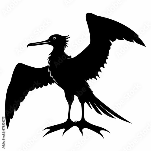 Frigatebird silhouette black