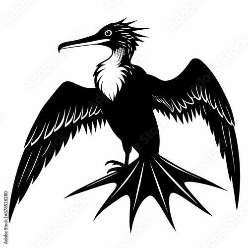 Frigatebird silhouette black