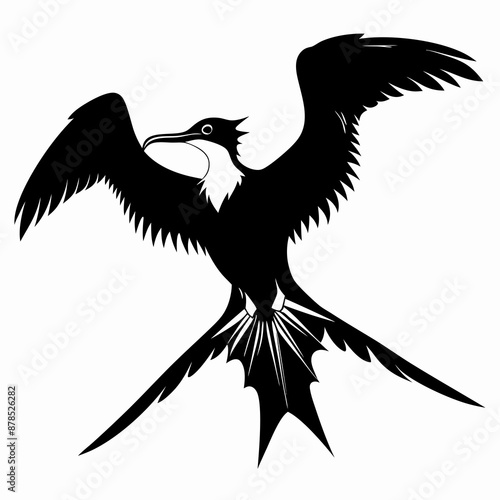 Frigatebird silhouette black