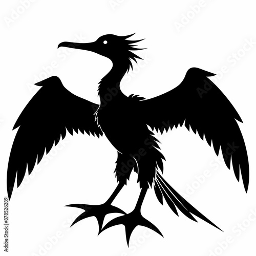 Frigatebird silhouette black