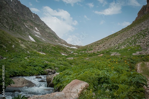 mountain river in the mountains