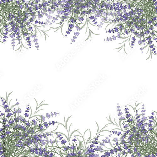 Floral purple-lavender border made of lavender flowers and leaves, for the design of postcards, invitations, banners, packaging and wallpaper. A frame for your design. Vector illustration