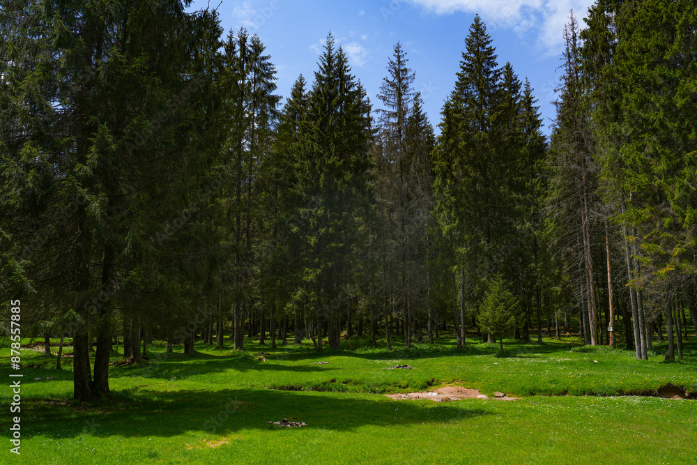 Obraz premium Summer landscape of Cetatile Ponorului in Apuseni National Park, Romania, Europe