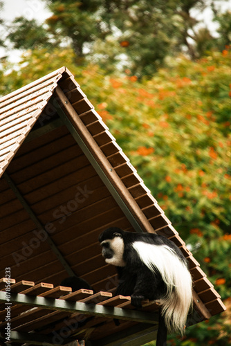 Photography Explore a stunning array of images in our photo bank