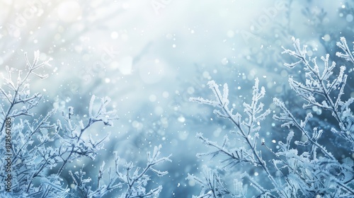 Winter background with frosted seasonal branches