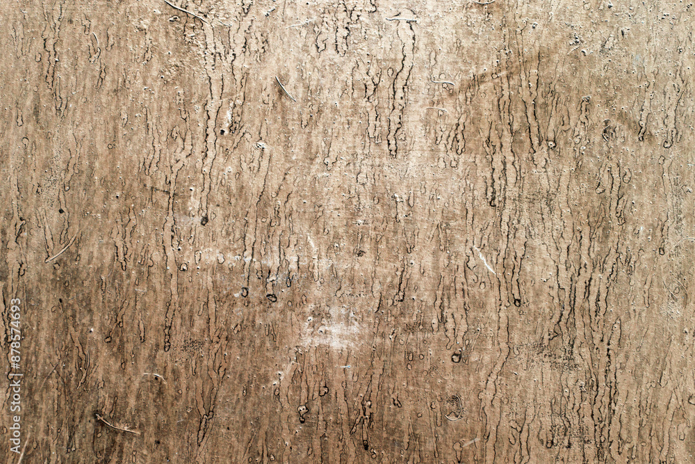 Old concrete wall fragment
