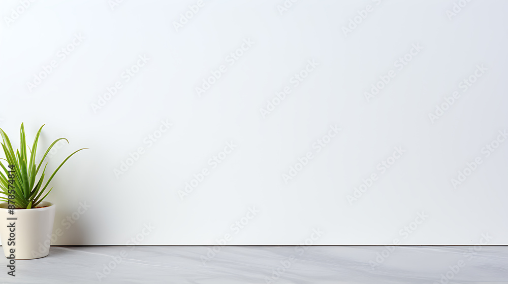 Minimalist green plant in white pot against white wall, perfect for product display or modern design.
Minimalist green plant in white pot against white wall, perfect for product display or modern design.