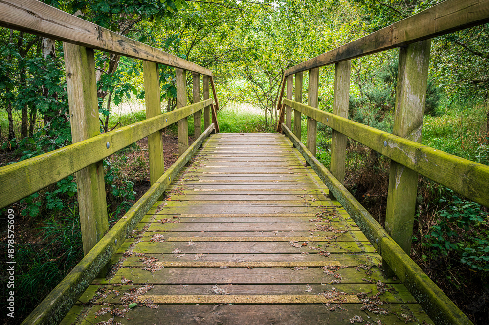 Long depth of field of a wooden footbridge seen spanning a small river on the edge of a forest in Britain. Note the none slip surface. Long depth of field of a wooden footbridge seen spanning a small river on the edge of a forest in Britain. Note the none slip surface.