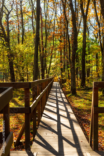 Empty wooden boardwalk in autumn park. Long wooden footbridge over the wetland. Katowice, Silesia, Poland photo