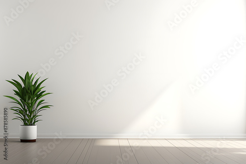 Minimalist white wall with plant and sunlight, perfect for showcasing your design. 