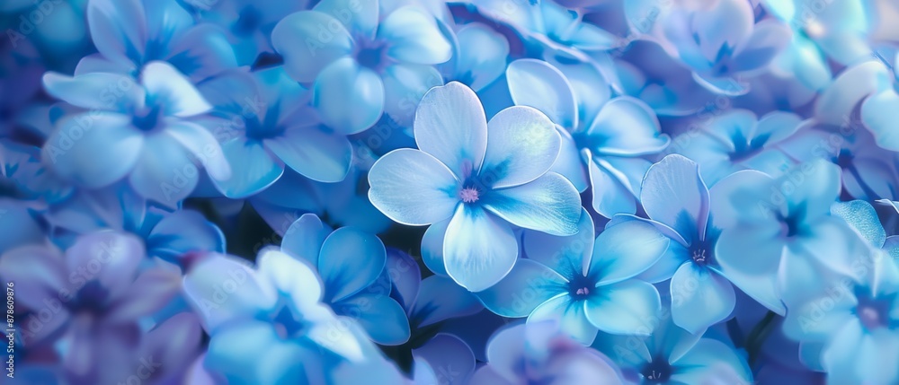 spring blue flower background close illustration bloom floral, petal natural, colorful beauty spring blue flower background spring blue flower background close illustration bloom floral, petal natural, colorful beauty spring blue flower background