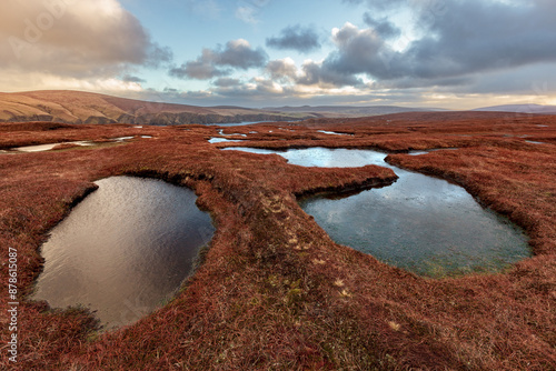Hermaness National Nature Reserve, Unst Island, Shetland Islands, Scotland, golden hour over moorland and sky reflection on ponds in peat