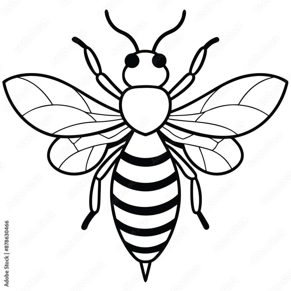 Bee, honey bee isolated on a white background. Naturalistic, scientific, botanical engraved illustration, vector drawing, Bee, honey bee isolated on a white background. Naturalistic, scientific, botanical engraved illustration, vector drawing,