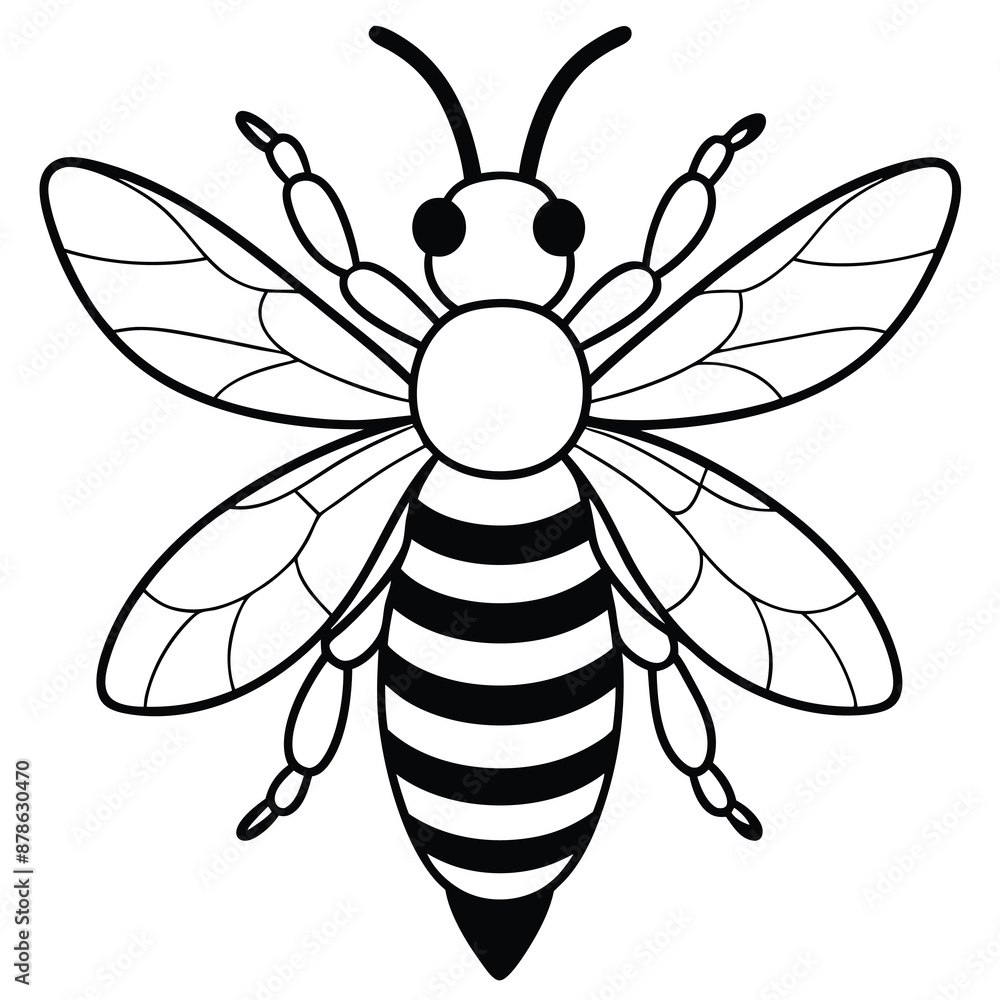 Bee, honey bee isolated on a white background. Naturalistic, scientific, botanical engraved illustration, vector drawing, Bee, honey bee isolated on a white background. Naturalistic, scientific, botanical engraved illustration, vector drawing,