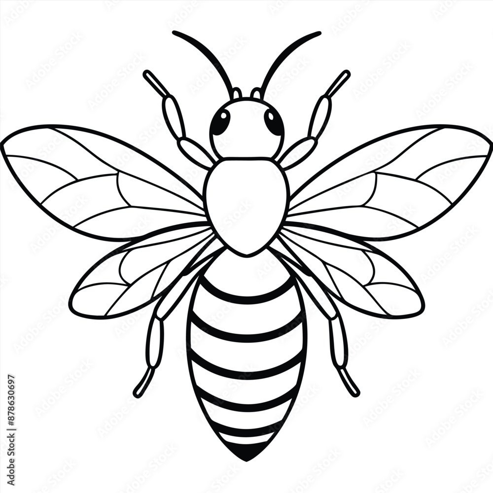 Obraz premium Bee, honey bee isolated on a white background. Naturalistic, scientific, botanical engraved illustration, vector drawing,