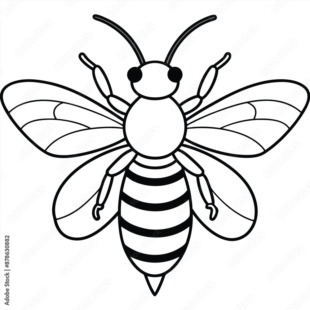 Bee, honey bee isolated on a white background. Naturalistic, scientific, botanical engraved illustration, vector drawing, Bee, honey bee isolated on a white background. Naturalistic, scientific, botanical engraved illustration, vector drawing,