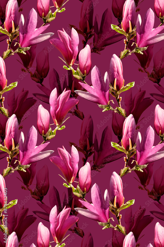 Obraz premium Floral romantic collage with magnolia flower on a pink background. Spring or summer holiday background
