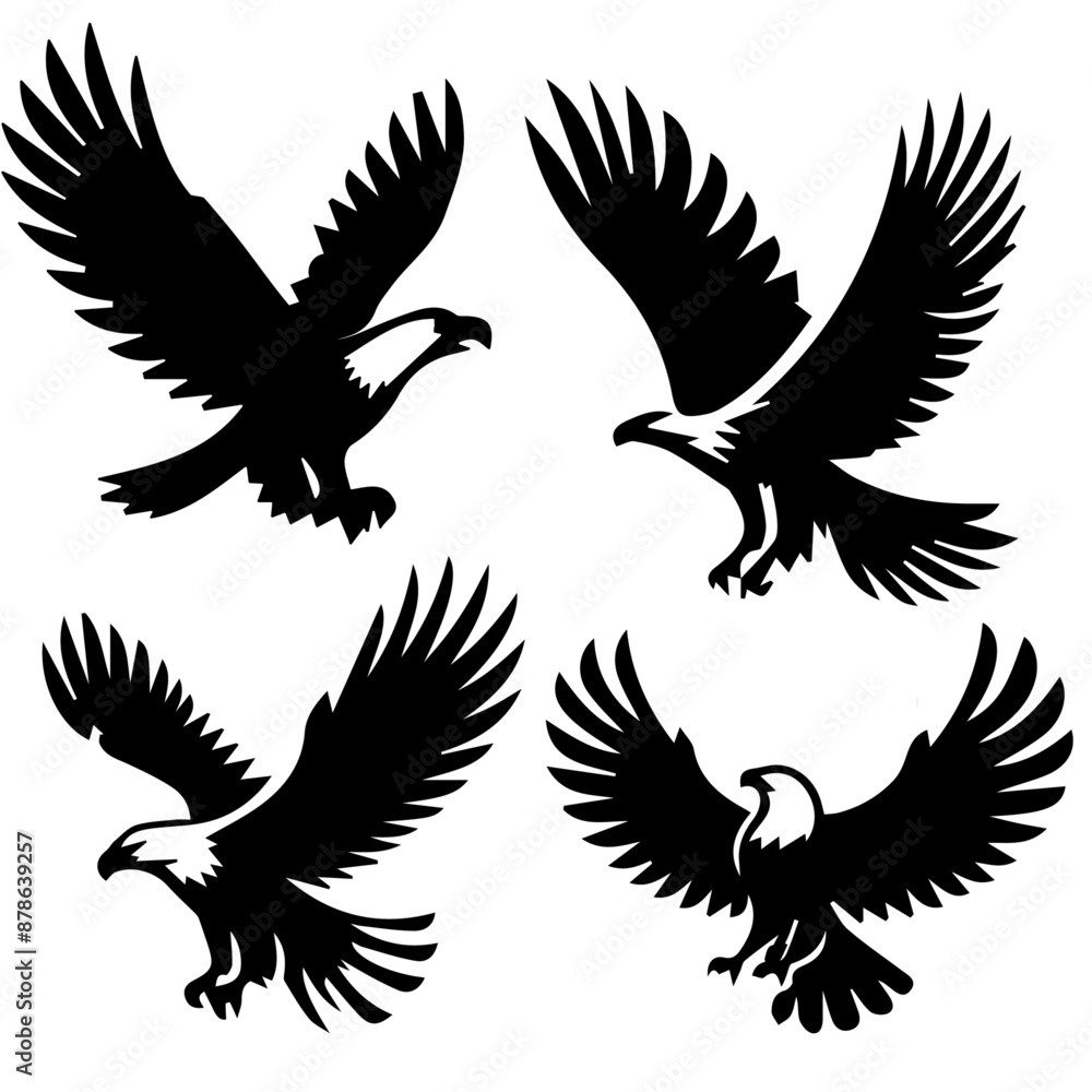 Eagle Soaring isolated on white background Eagle Soaring isolated on white background