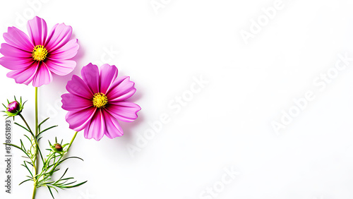 leaves and flower scattered on a colorfull rustic wooden table