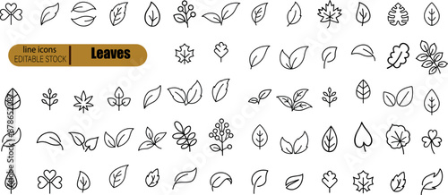 Leaves thin line icon set. Symbol collection in transparent background. Editable vector stroke.