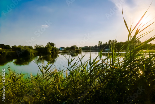 View of the backwater in South Hungary photo