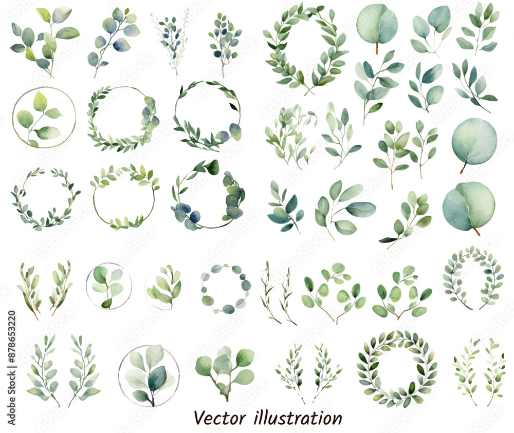 © Vector Market - Exotic plants leaf set on an isolated transparent background, watercolor vector illustration. Wedding frame elements collection. Elegant foliage design for wedding, card, invitation, greeting, banner. © Vector Market - Exotic plants leaf set on an isolated transparent background, watercolor vector illustration. Wedding frame elements collection. Elegant foliage design for wedding, card, invitation, greeting, banner.