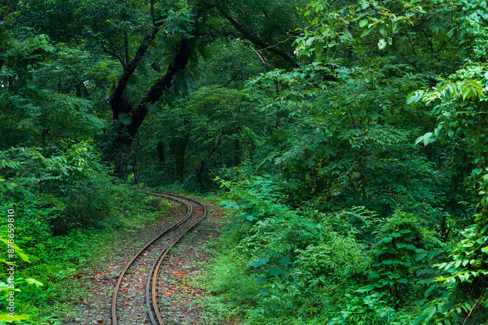 Toy train line, narrow gauge train line passing through Himalayan jungle. Darjeeling Himalayan Railway, narrow gauge railway between New Jalpaiguri and Darjeeling. Toy train line, narrow gauge train line passing through Himalayan jungle. Darjeeling Himalayan Railway, narrow gauge railway between New Jalpaiguri and Darjeeling.