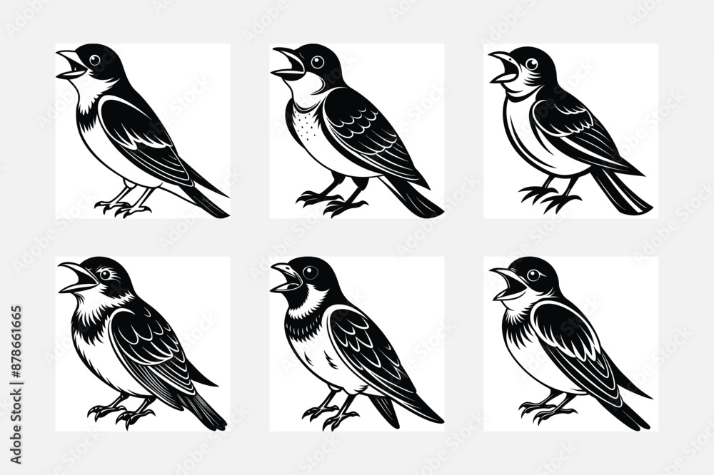set of birds set of birds