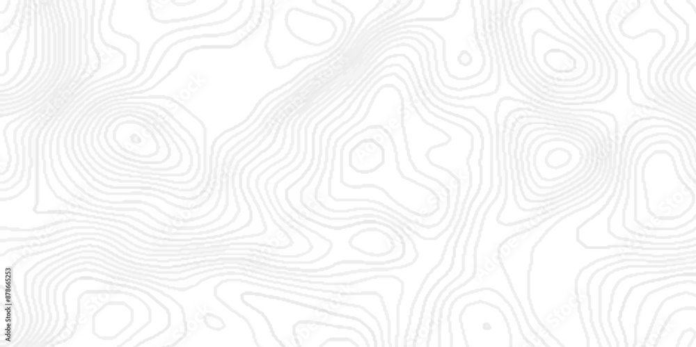 Topographic background and texture with black lines, black and white wavy topography map abstract background with geometric lines, White wave paper curved reliefs abstract topographic contour map.