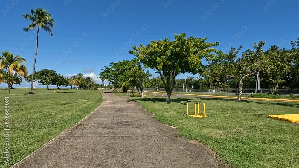 riding along a bike path near the beach in carolina, puerto rico with palm trees and tropical vegetation in the background (adventure travel caribbean getaway) sports riding along a bike path near the beach in carolina, puerto rico with palm trees and tropical vegetation in the background (adventure travel caribbean getaway) sports