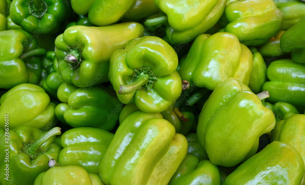 Green bell peppers, natural background. Freshly picked green bell peppers on display at the market Green bell peppers, natural background. Freshly picked green bell peppers on display at the market