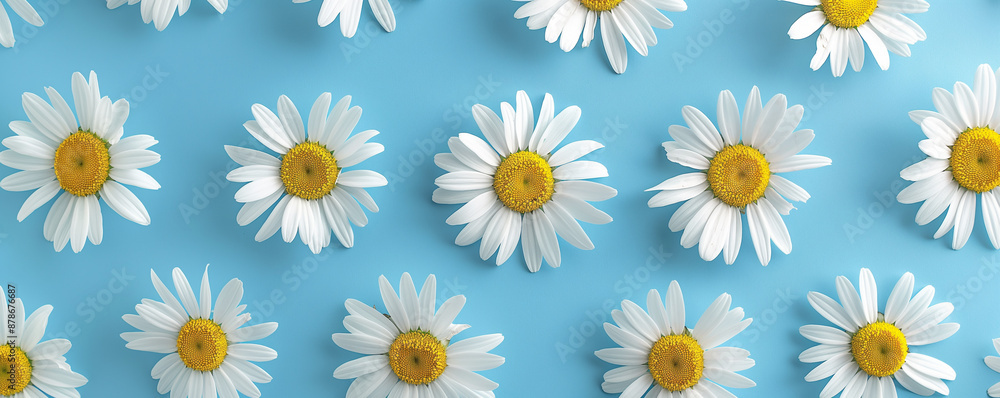background with flowers background with flowers